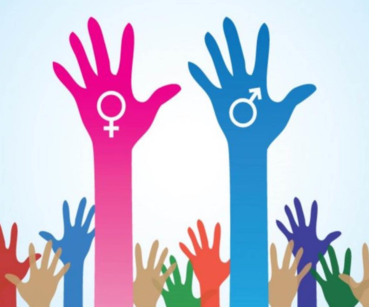 La educación, el inicio para erradicar la violencia de género La educación, el inicio para erradicar la violencia de género