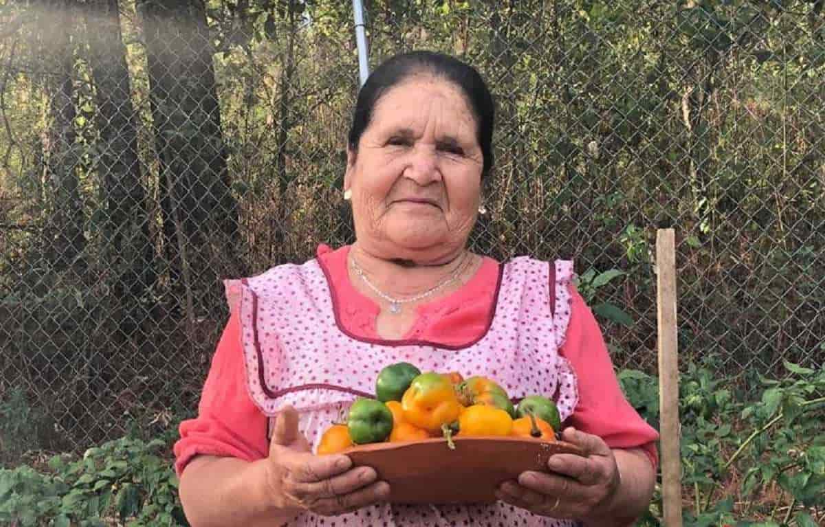 Doña Ángela, de la cocina a una de las mujeres más poderosas de Forbes Doña Ángela, de la cocina a una de las mujeres más poderosas de Forbes