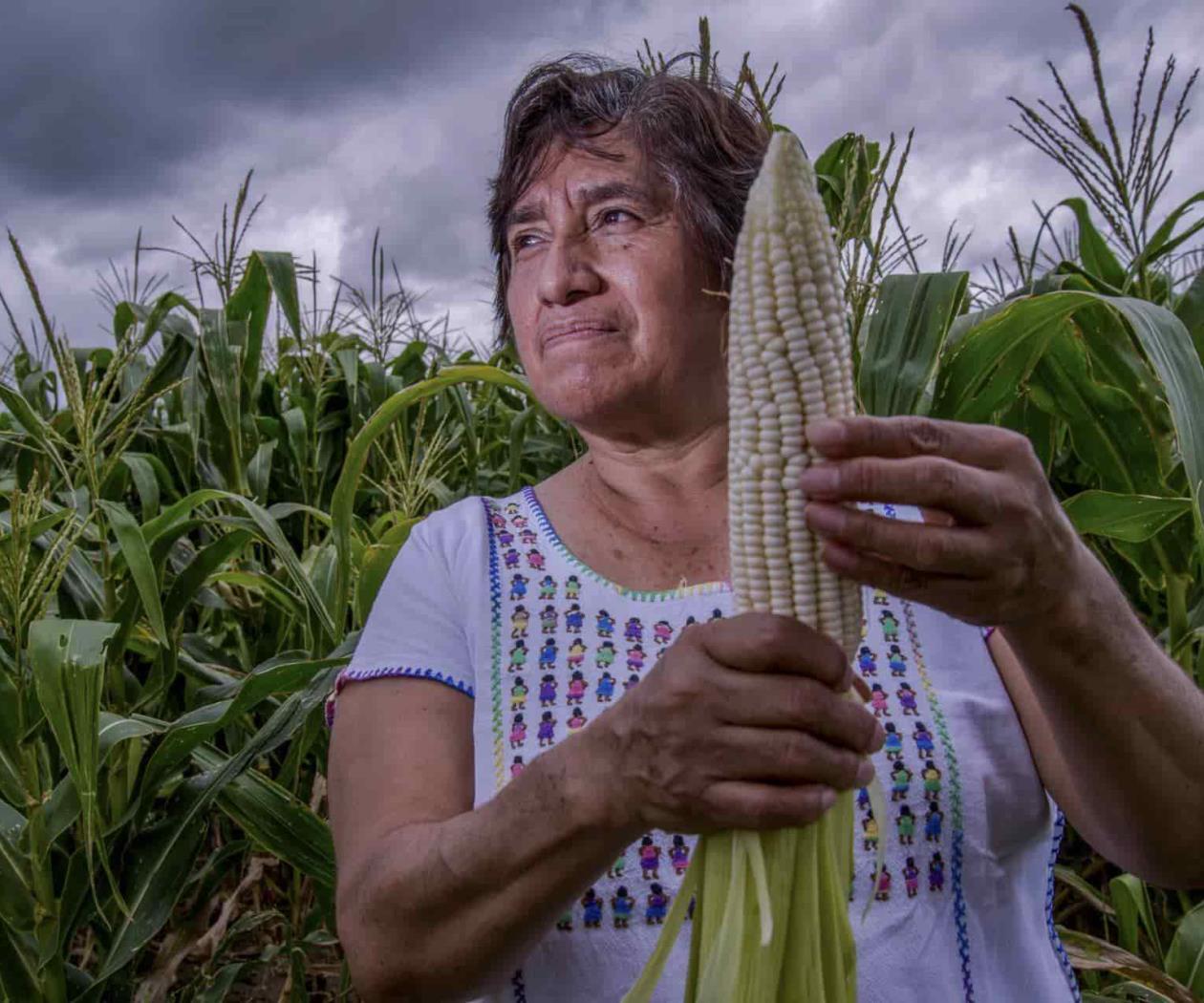 Mujeres migrantes e indígenas, discriminadas también en el trabajo Mujeres migrantes e indígenas, discriminadas también en el trabajo