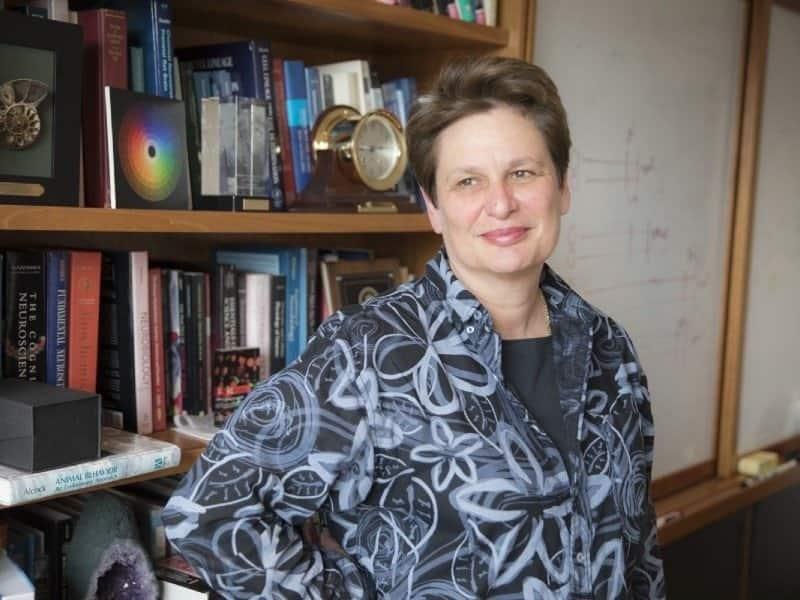 Científica encuentra instinto paternal en ratones