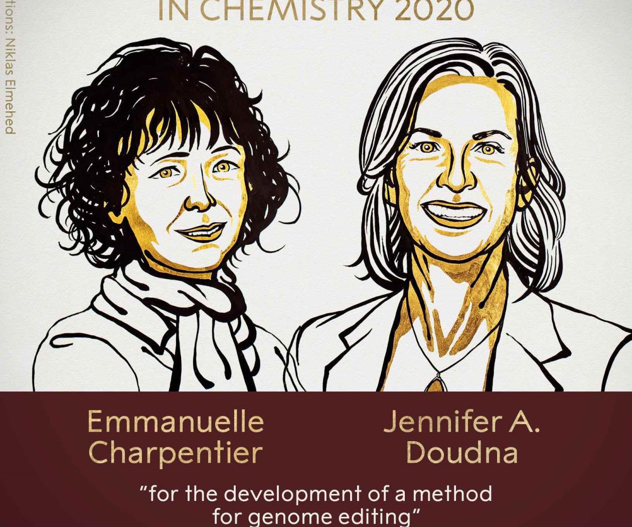 Científicas logran reescribir "código de la vida", ganan Premio Nobel