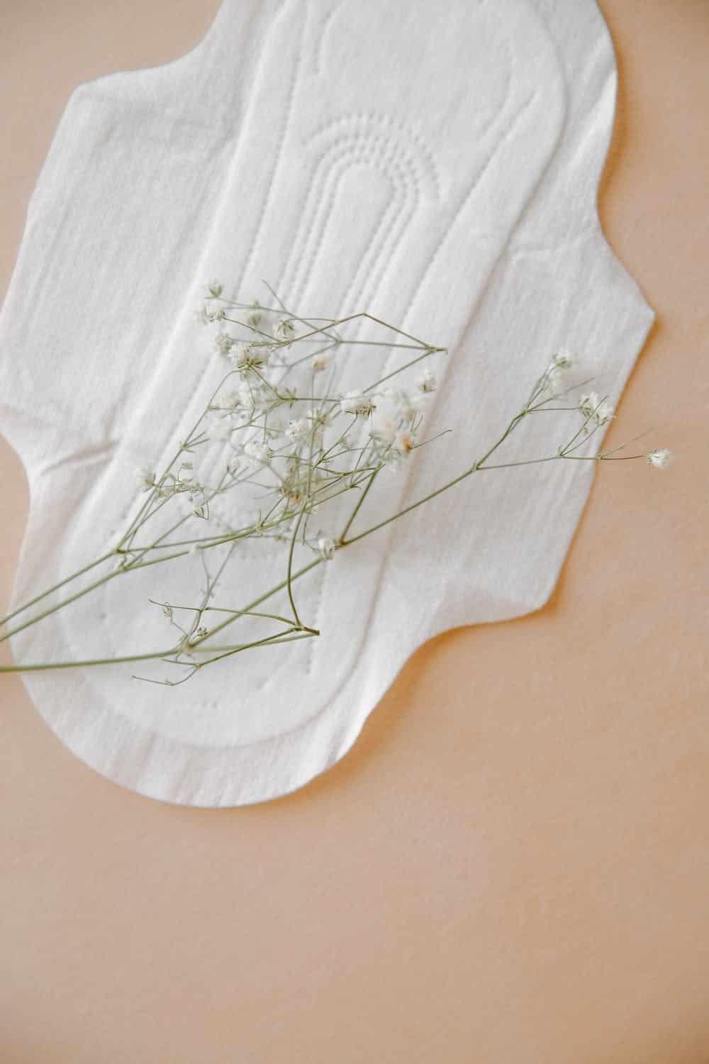 "Las mujeres debemos dejar de pagar impuestos por menstruar" "Las mujeres debemos dejar de pagar impuestos por menstruar"