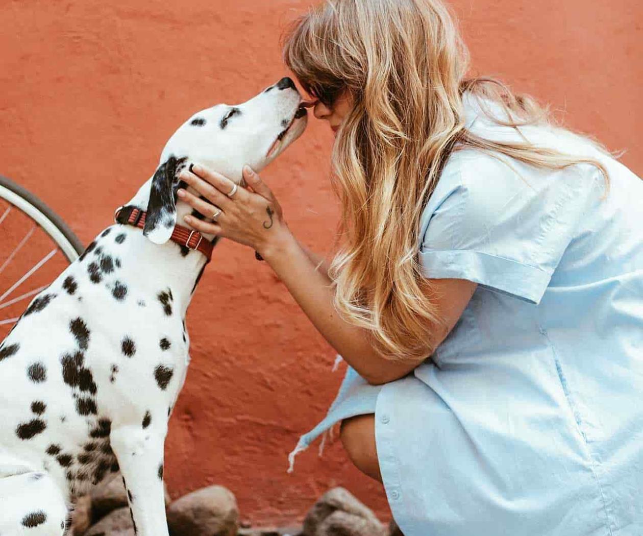 Mujeres, clave en la construcción del vínculo entre perros y humanos Mujeres, clave en la construcción del vínculo entre perros y humanos