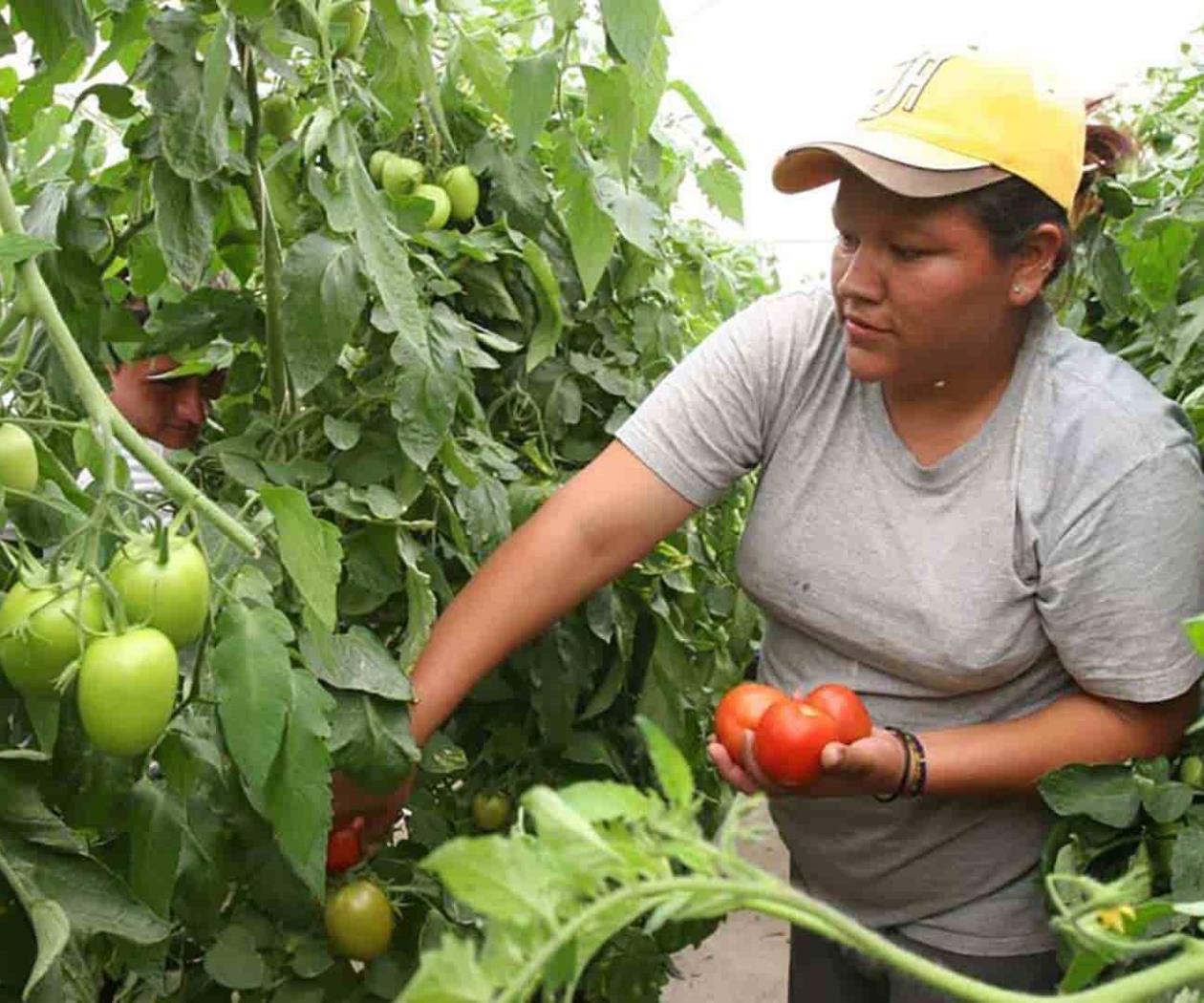 Mujeres migrantes exigen dignidad laboral a México y EE.UU Mujeres migrantes exigen dignidad laboral a México y EE.UU