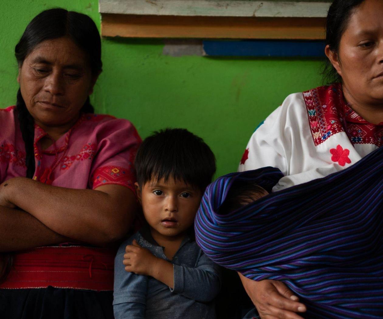 Mujeres de familia, desplazadas por el narcotráfico y el Tren Maya