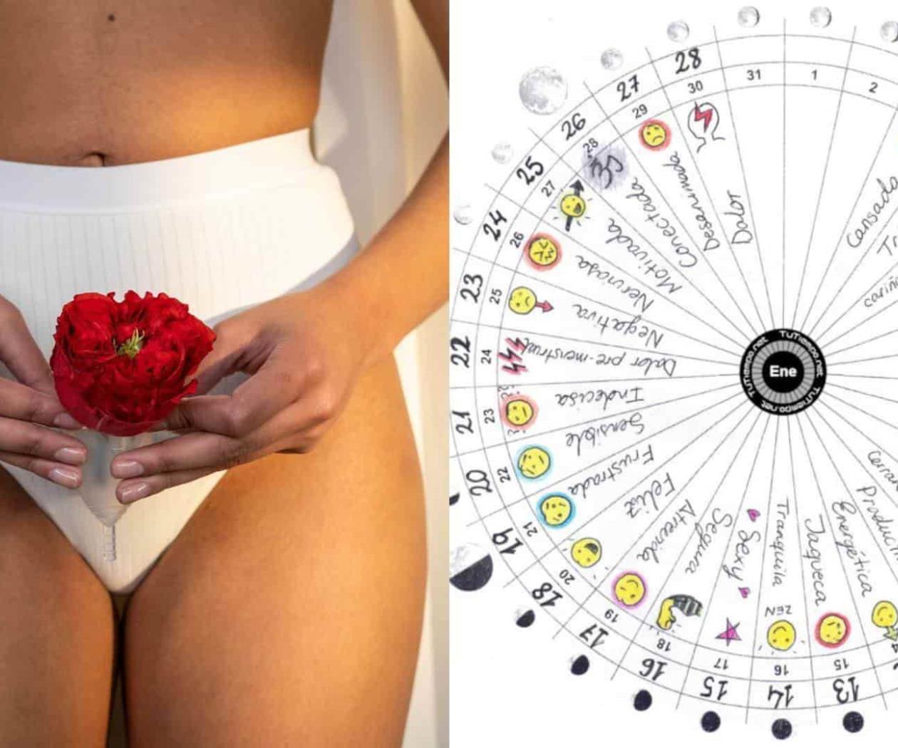 ¿Cómo hacer mi calendario menstrual? ¿Cómo hacer mi calendario menstrual?