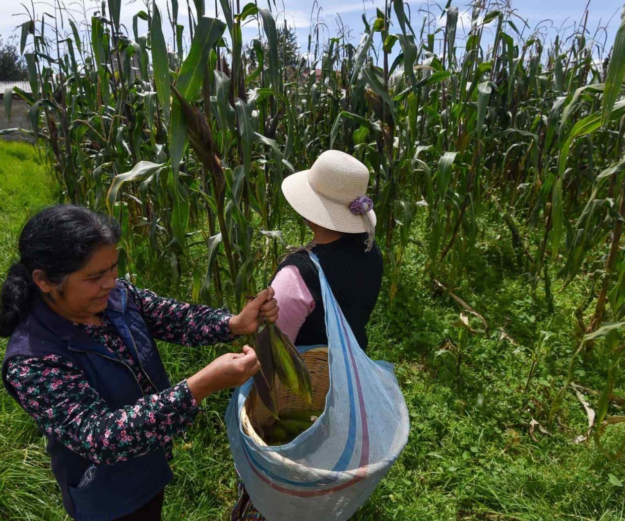 ¿Cómo sensibilizar a los hombres del trabajo de las mujeres rurales? ¿Cómo sensibilizar a los hombres del trabajo de las mujeres rurales?