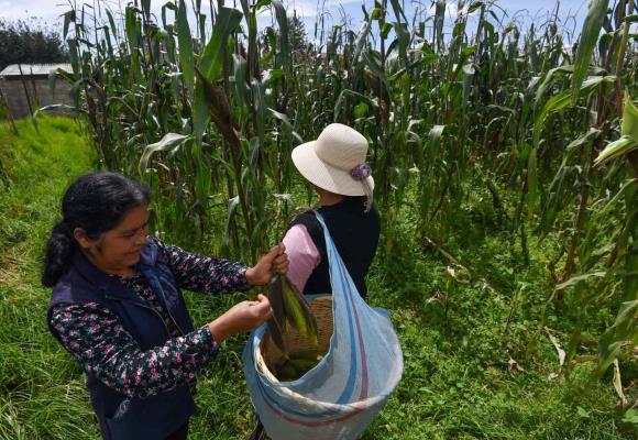 ¿Cómo sensibilizar a los hombres del trabajo de las mujeres rurales?