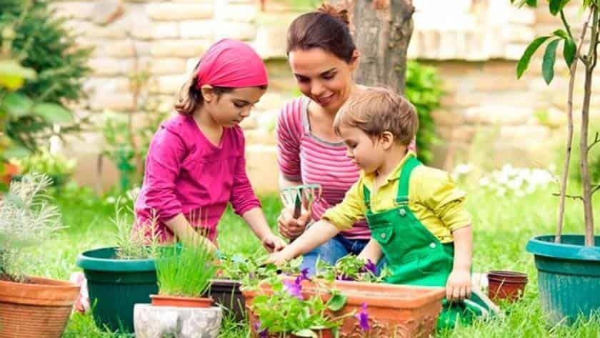 Razones por las que tener un huerto en casa mejorará tu día a día Razones por las que tener un huerto en casa mejorará tu día a día