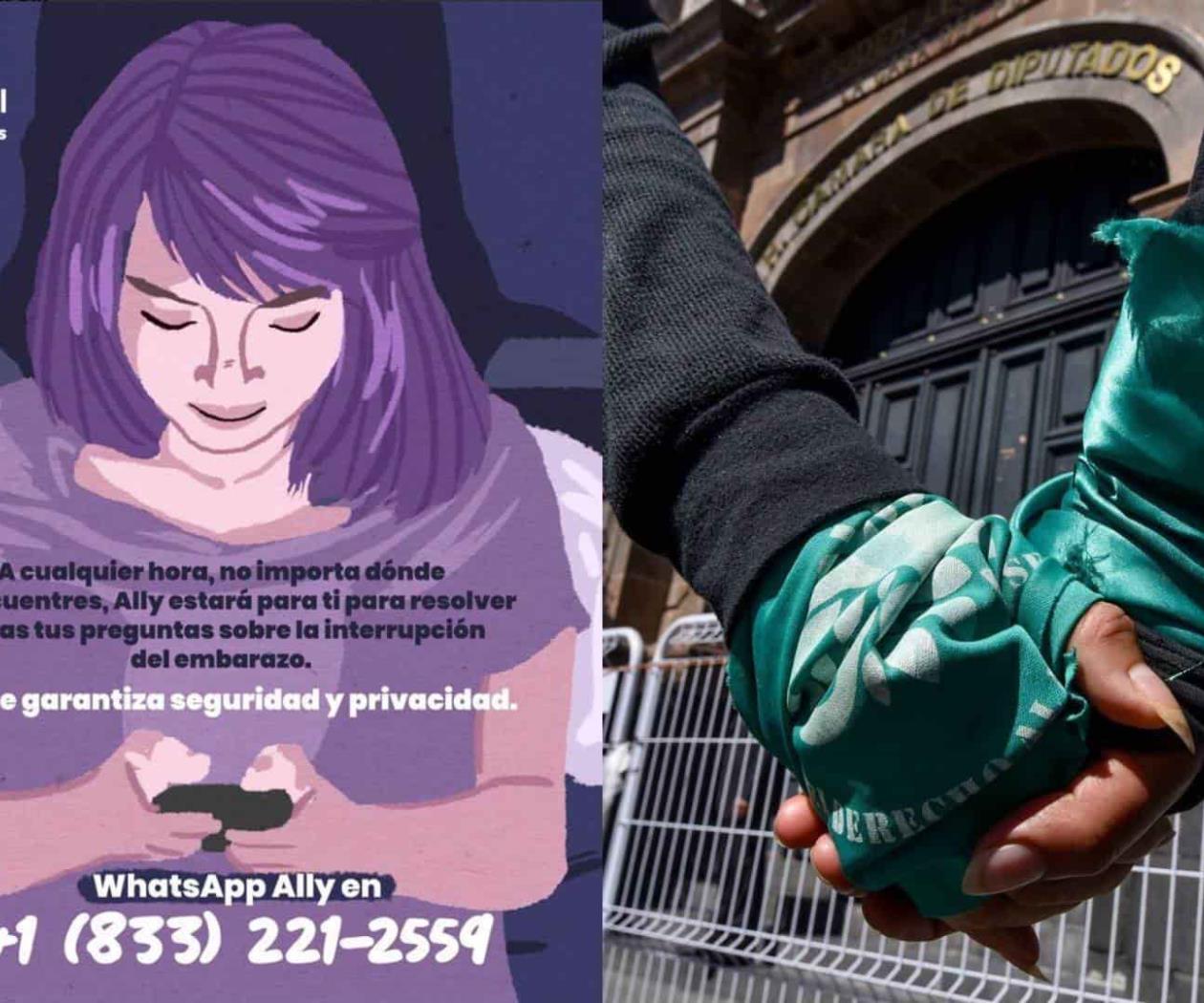 "HowToUse", el sitio que brinda información y soporte para abortar con pastillas