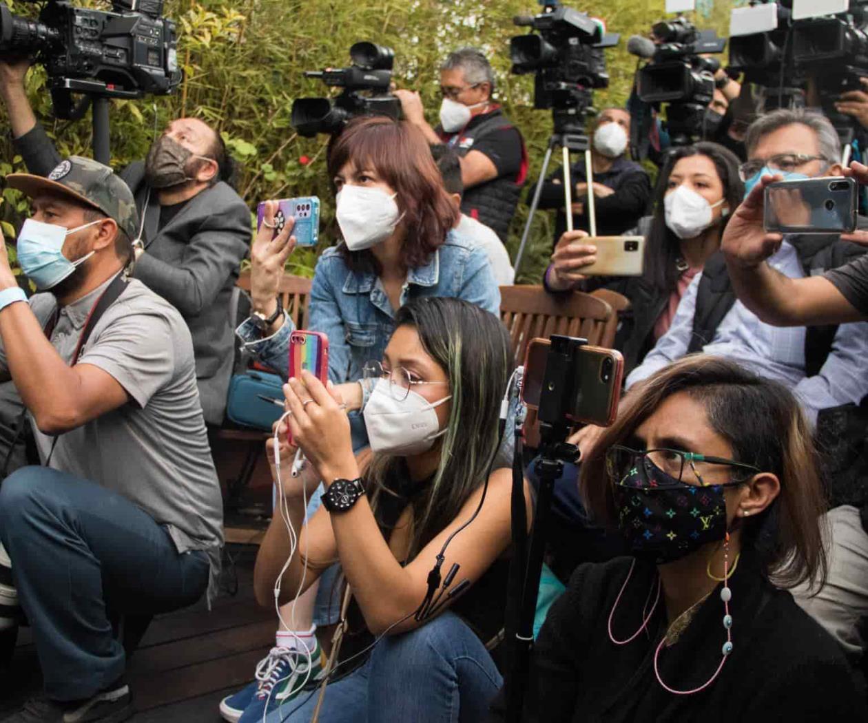 7 de cada 10 periodistas trabajaron con sus herramientas en pandemia: Cimac 7 de cada 10 periodistas trabajaron con sus herramientas en pandemia: Cimac