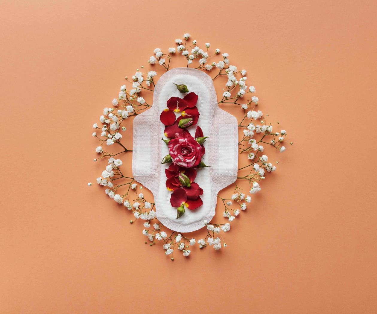 “Revolución menstrual”: mujeres se apropian de sus cuerpos “Revolución menstrual”: mujeres se apropian de sus cuerpos