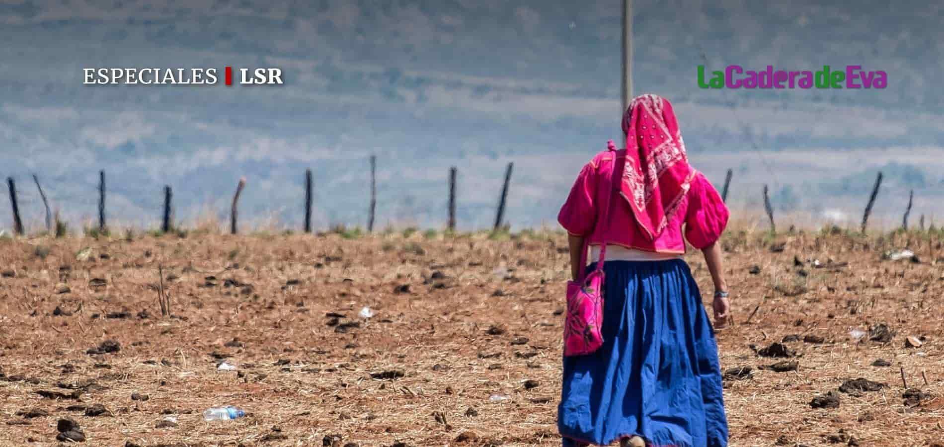 Caso "Ana": violación, trata y violencia familiar contra menor en Oaxaca Caso "Ana": violación, trata y violencia familiar contra menor en Oaxaca