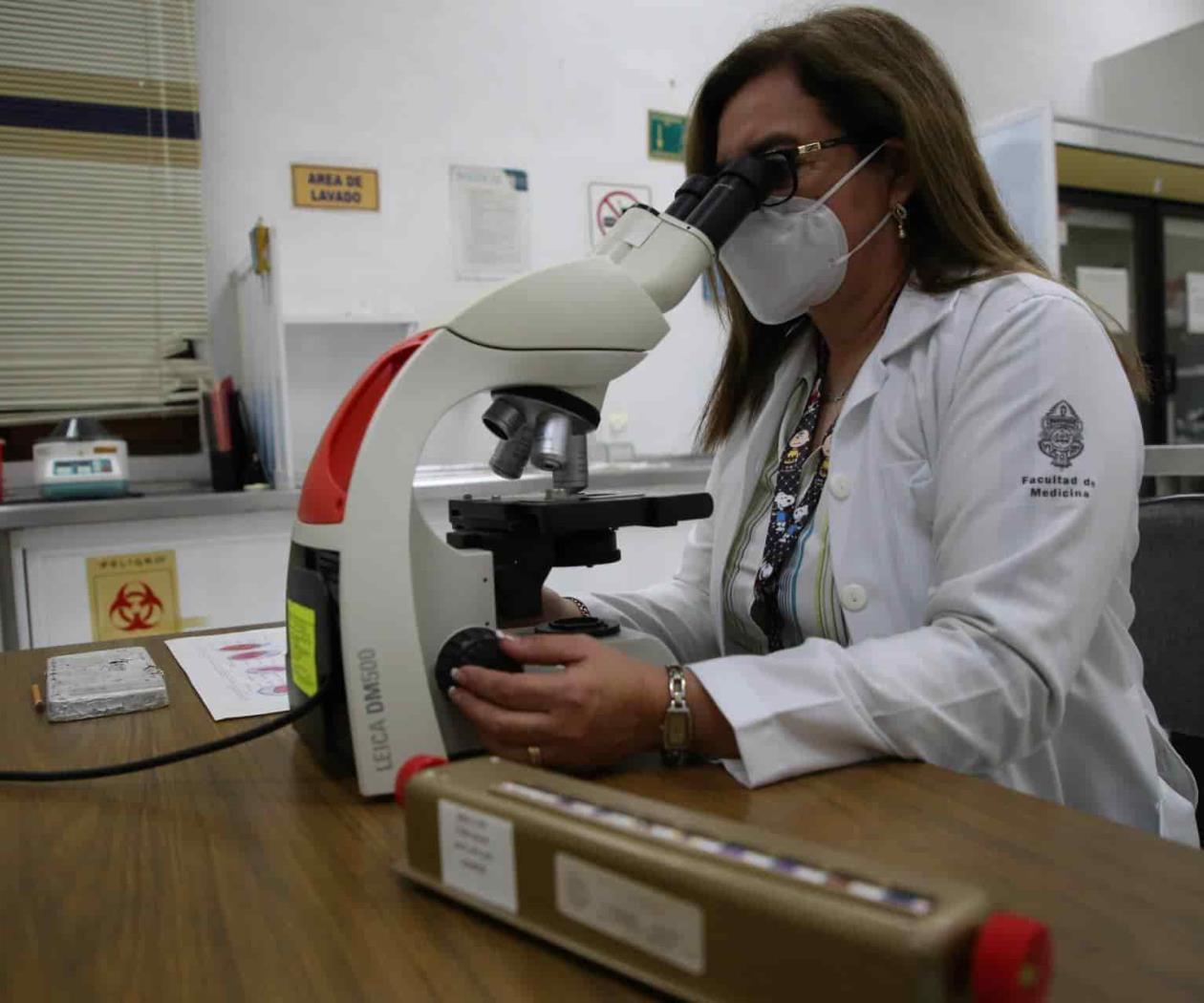 ¿Cómo aplicar la perspectiva de género en las clases que imparto?