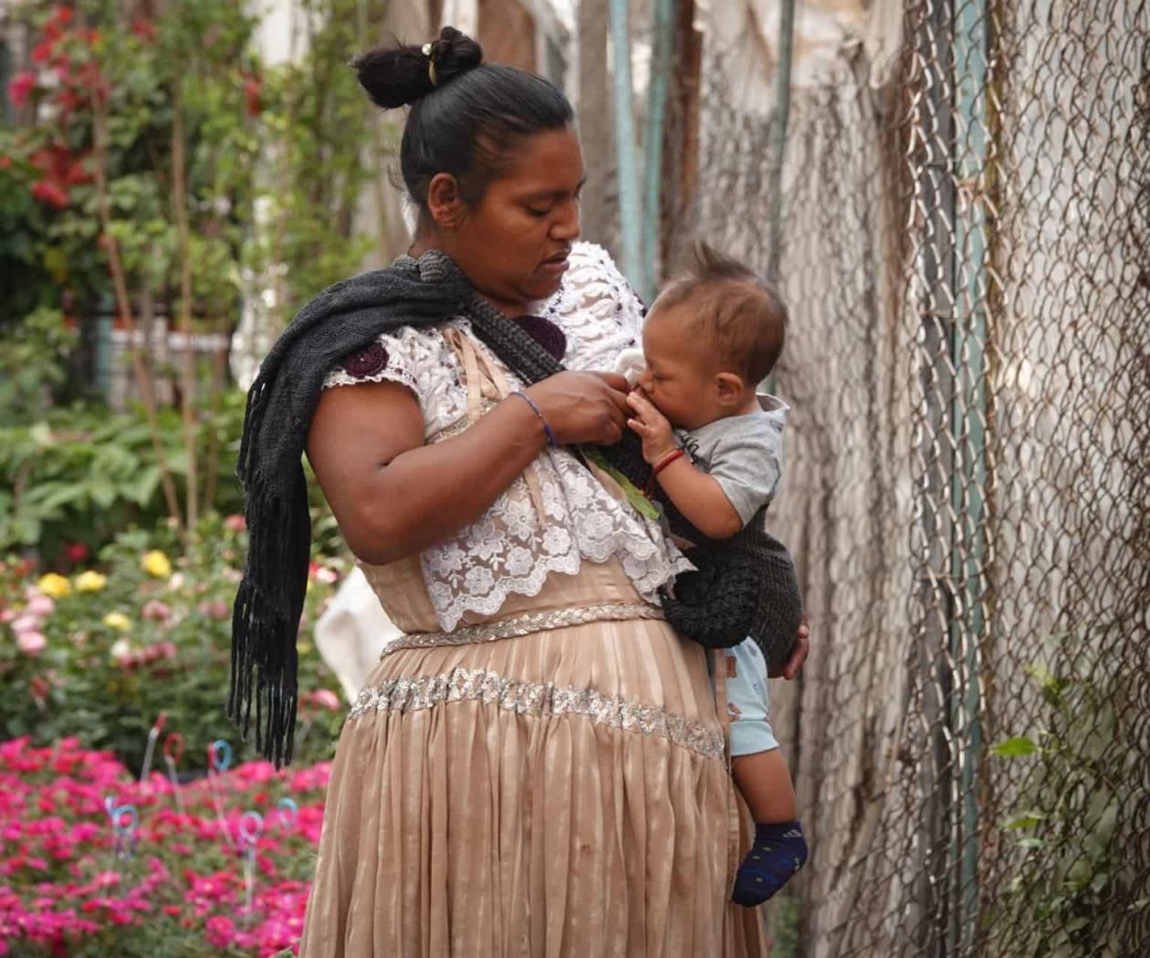 Ciclo de vida y cuidados Ciclo de vida y cuidados