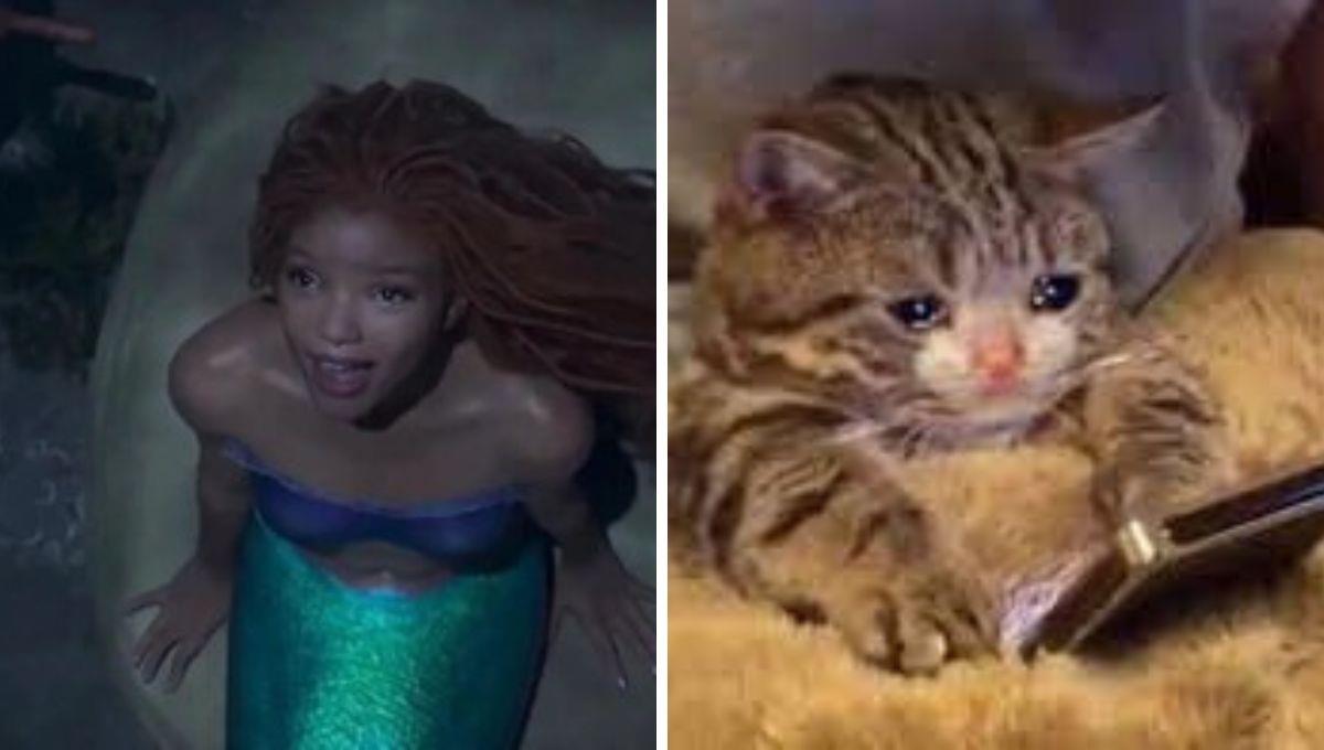 ¿Podrían cancelar el estreno de La Sirenita?