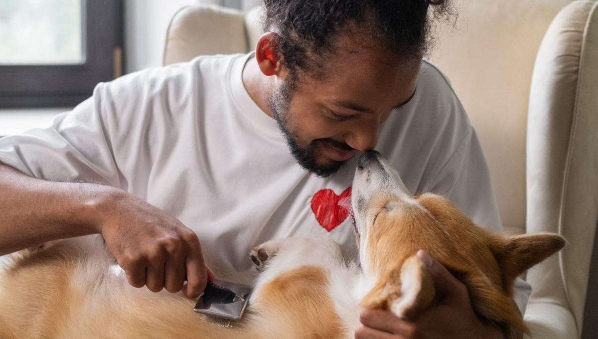 El amor o las relaciones afectivas para dar y recibir cuidados El amor o las relaciones afectivas para dar y recibir cuidados