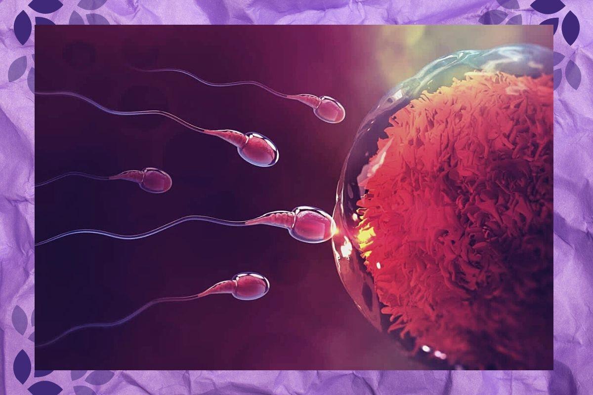 La concepción: Mitos a derribar a través de una óptica femenina La concepción: Mitos a derribar a través de una óptica femenina