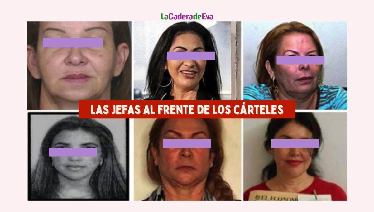 Guacamaya leaks: Las jefas que quedaron al frente de los cárteles del narco