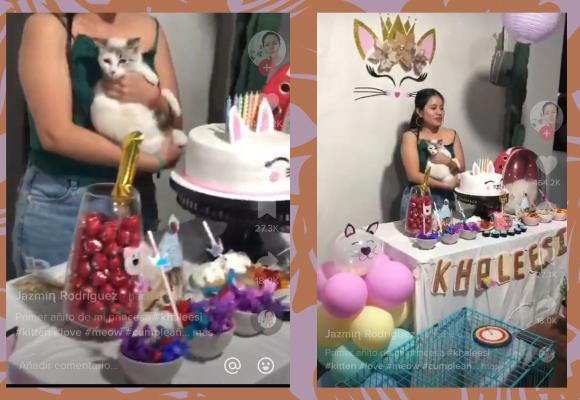 Joven festeja a lo grande el cumpleaños de su gato y se viraliza en redes