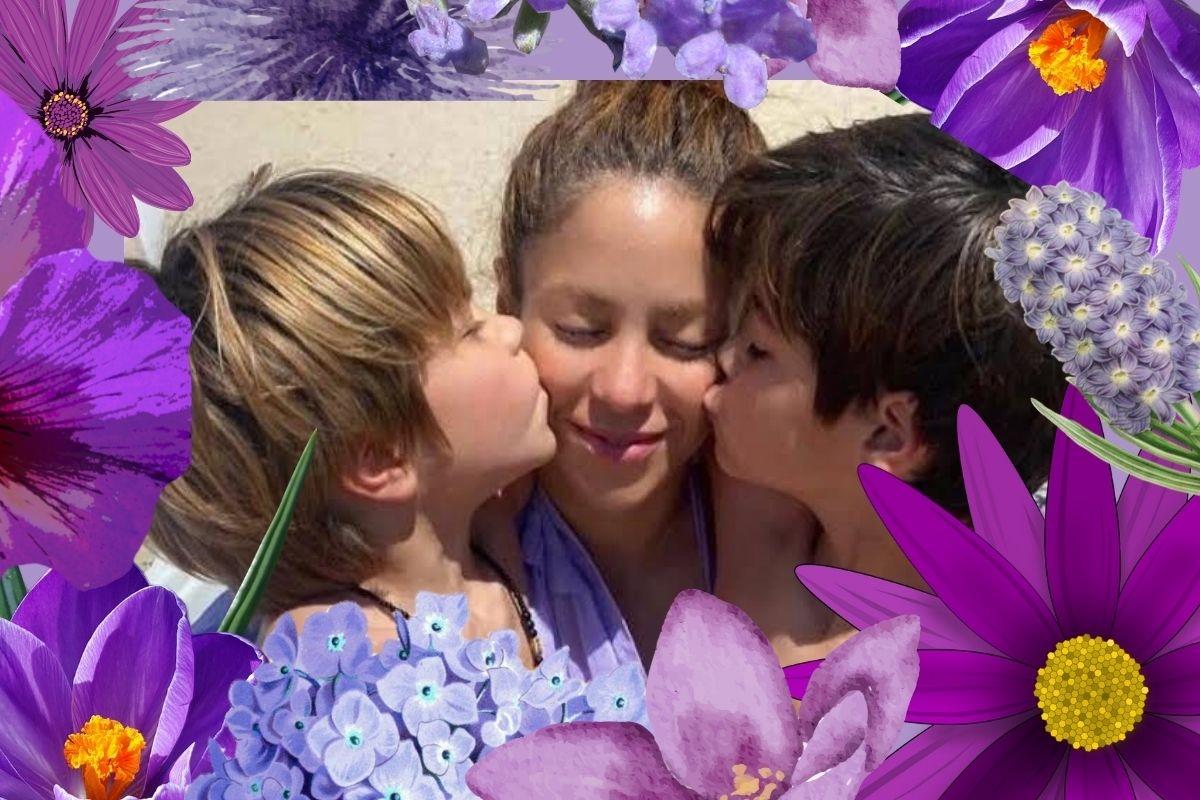 Shakira y la custodia de sus hijos: Lo más importante, dejar de exponer a los menores