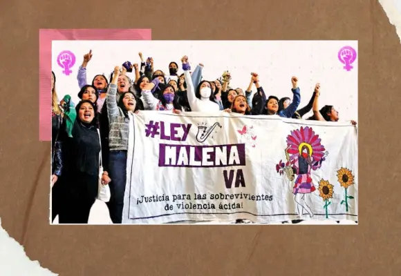 Tres puntos clave para entender la violencia &aacute;cida y la Ley Malena