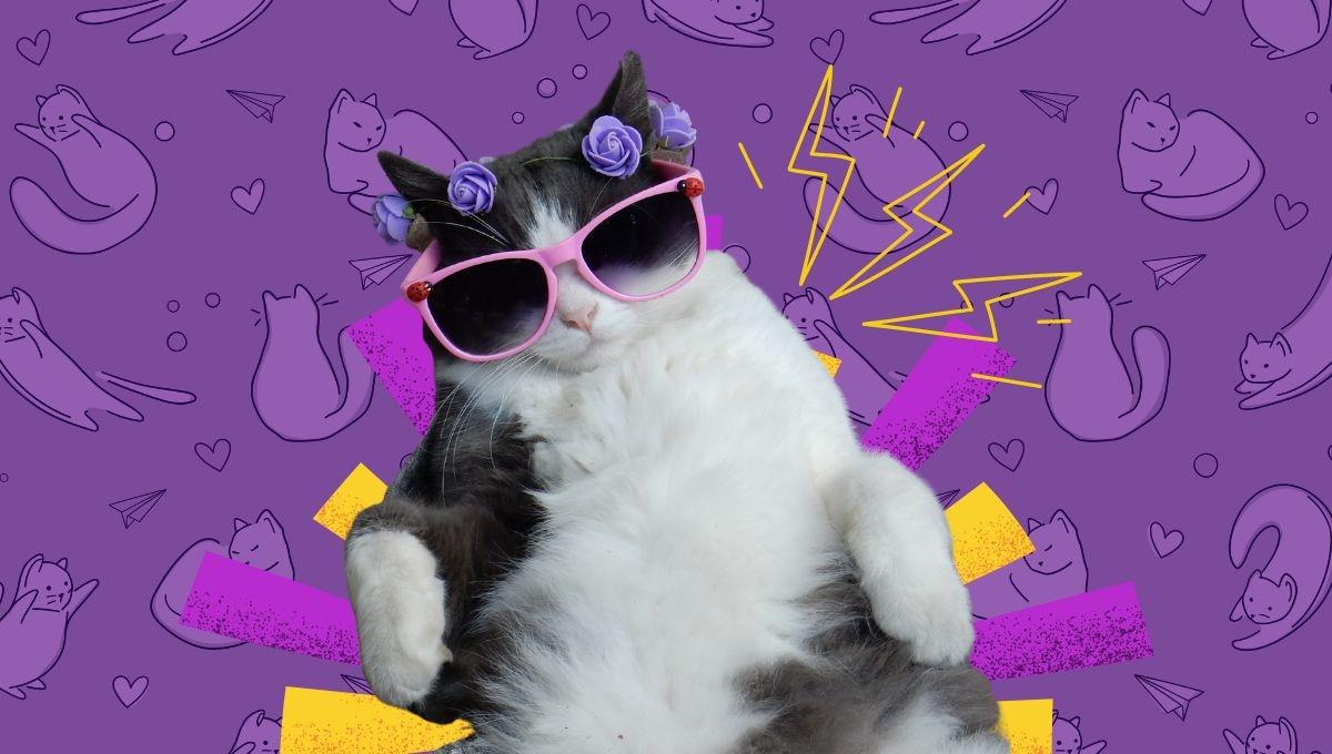 De gatunos y miedos históricos De gatunos y miedos históricos