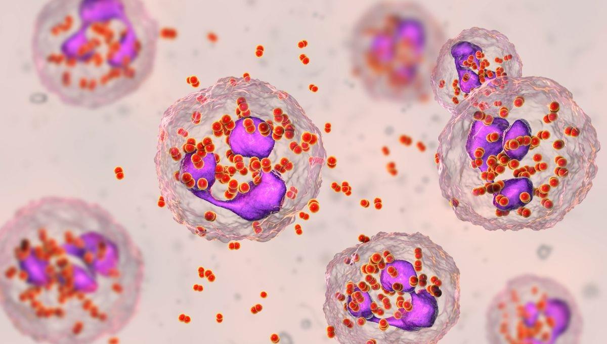 Virus del papiloma humano: otra urgencia que atender Virus del papiloma humano: otra urgencia que atender