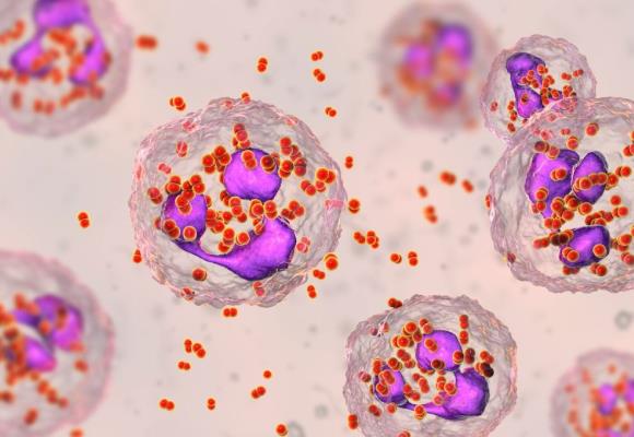 Virus del papiloma humano: otra urgencia que atender