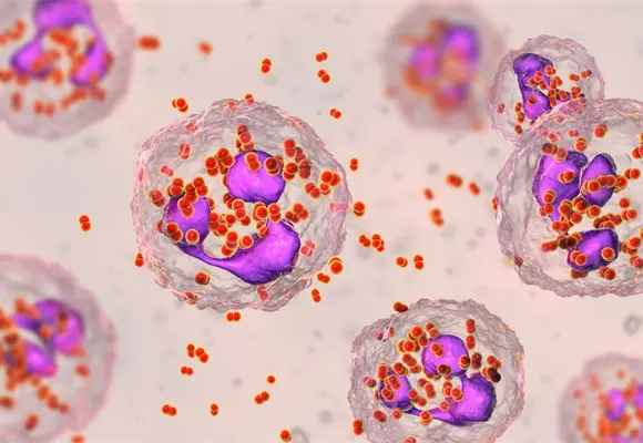 Virus del papiloma humano: otra urgencia que atender