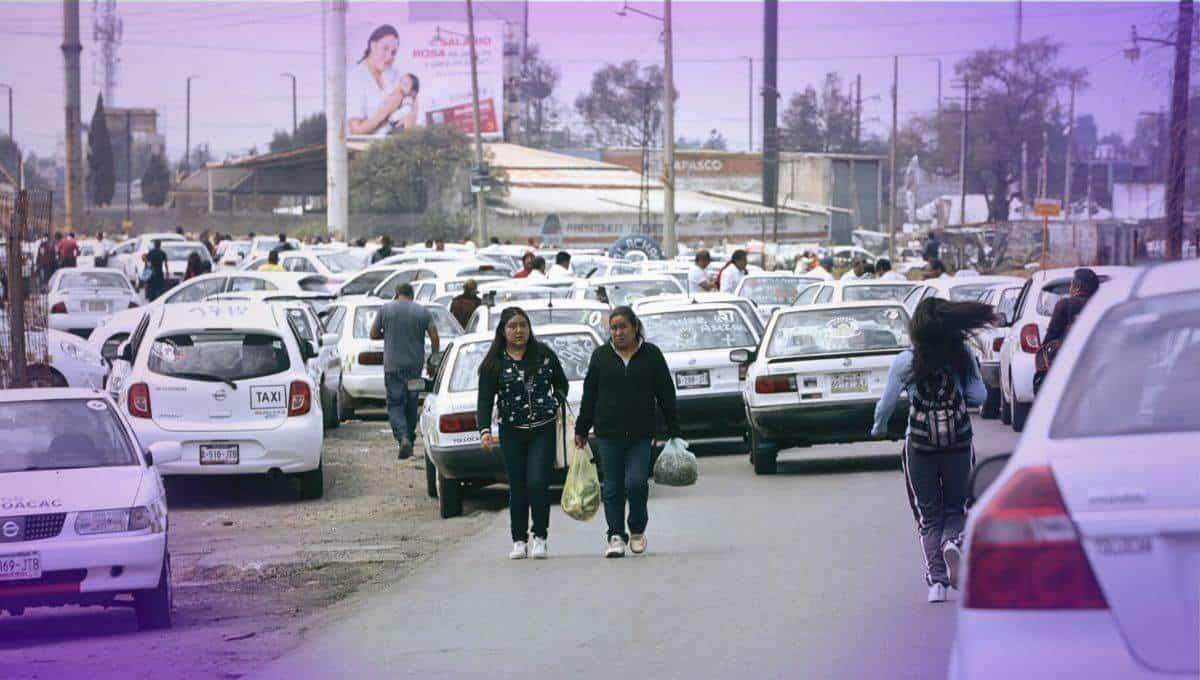 ¿Cuánto verde ves desde tu ventana?: una crónica desde la zona industrial