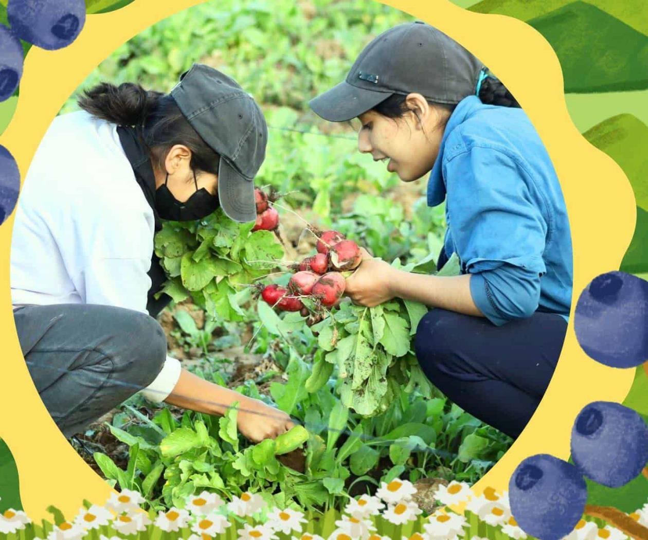 Guardianas de la tierra, pero no dueñas: la feminización agrícola Guardianas de la tierra, pero no dueñas: la feminización agrícola