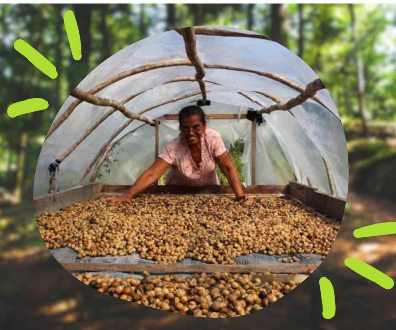Red de mujeres yucatecas intercambiando saberes por el cuidado de la selva Red de mujeres yucatecas intercambiando saberes por el cuidado de la selva