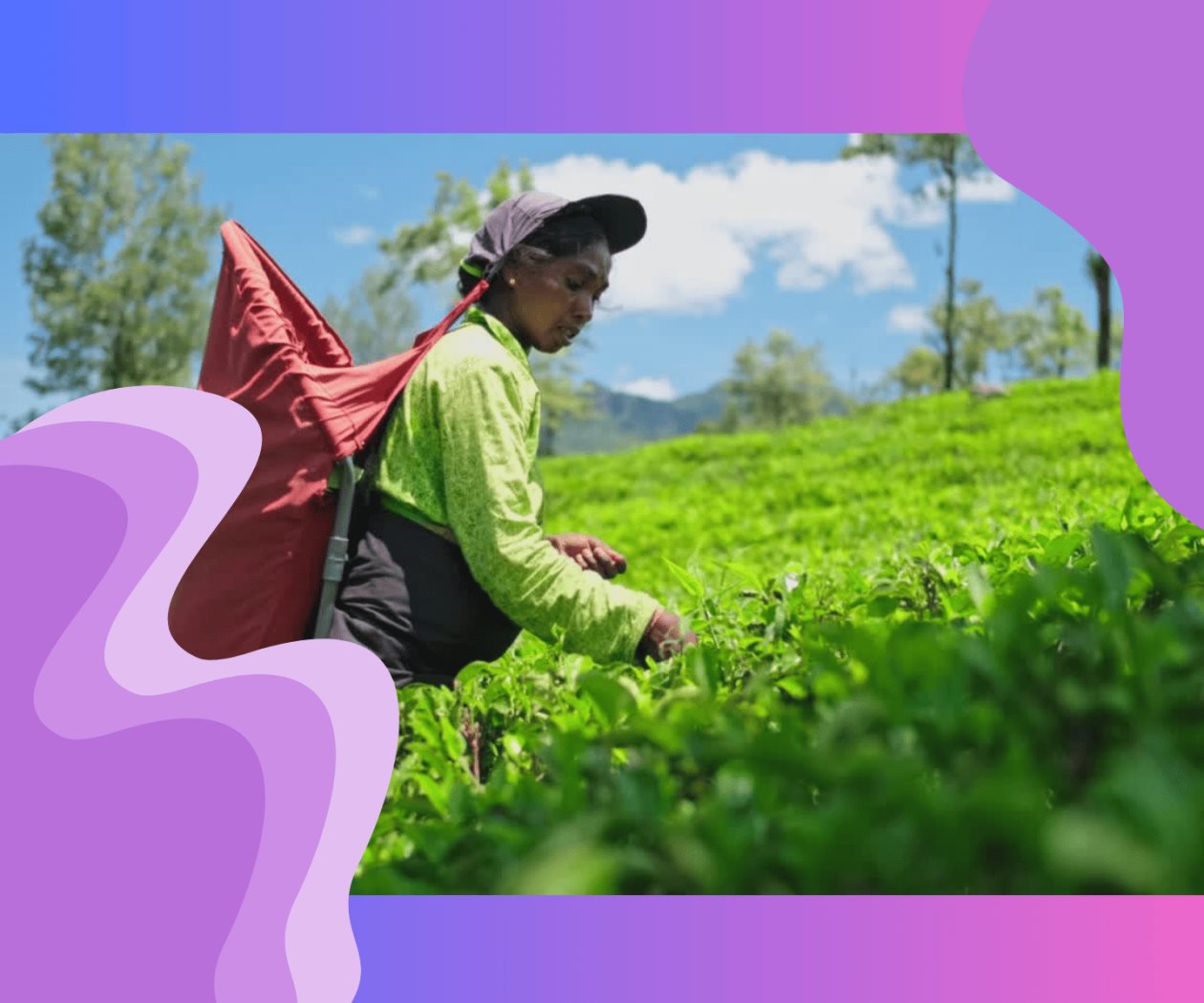 La trampa de la brecha salarial de género La trampa de la brecha salarial de género