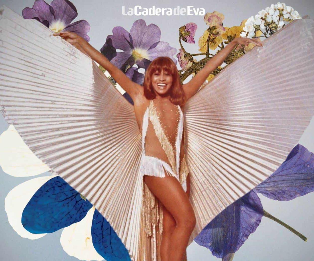 4 lecciones de vida que nos dejó Tina Turner 4 lecciones de vida que nos dejó Tina Turner