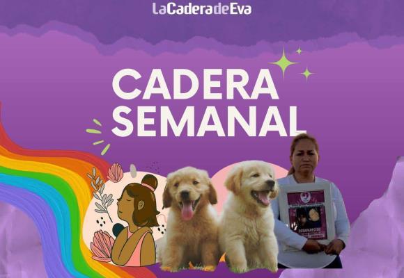 Quiénes son las madres buscadoras y qué es el extractivismo