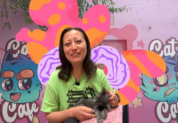 31 gatitos: aquí puedes tomarte un café mientras salvas un gatito