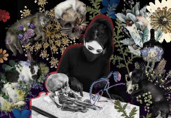 Ars Mortis: la taxidermista que encontró la belleza en la muerte