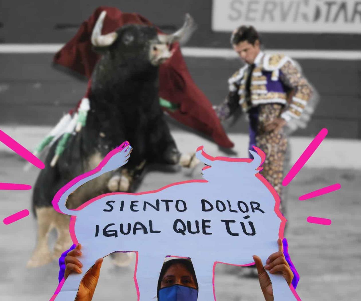 Tauromaquia puede volver a CDMX: defensa de animales también es feminismo Tauromaquia puede volver a CDMX: defensa de animales también es feminismo
