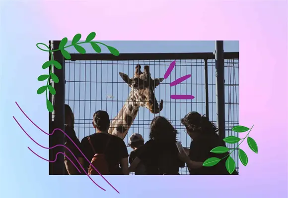 Benito la jirafa: una reflexi&oacute;n sobre derechos animales y antiespecismo