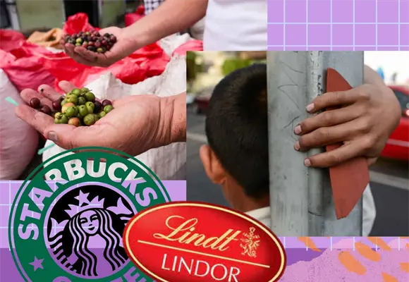 Starbucks y Lindt son demandados por abuso laboral y explotación infantil