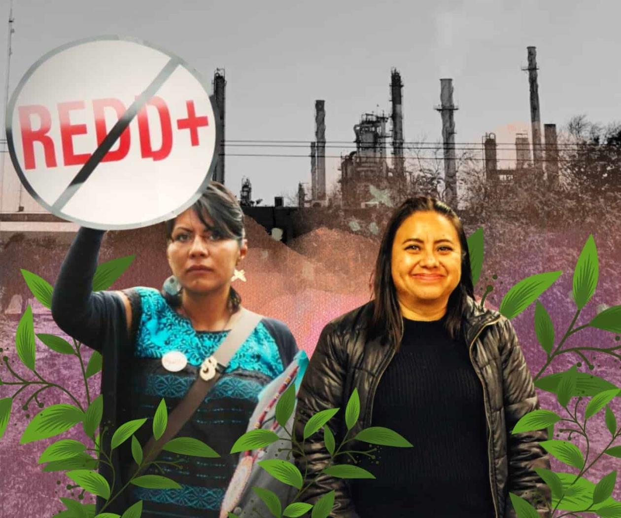 Poner la voz y el cuerpo para garantizar la vida: defensoras del territorio Poner la voz y el cuerpo para garantizar la vida: defensoras del territorio