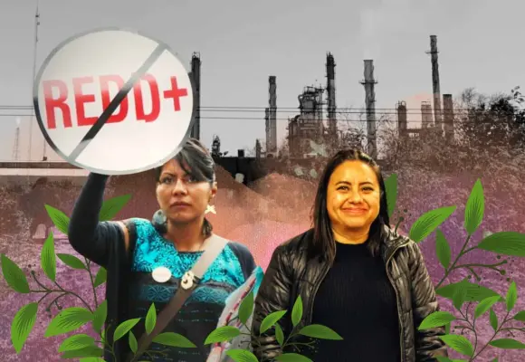 Poner la voz y el cuerpo para garantizar la vida: defensoras del territorio