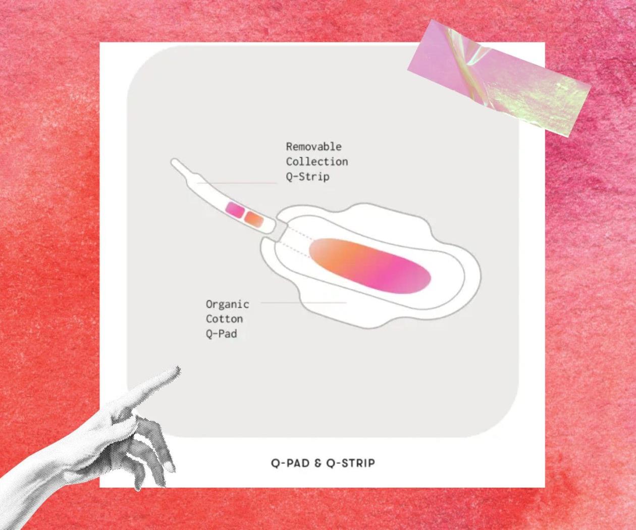 Q-Pad: La compresa que hace posible realizar análisis de sangre menstrual Q-Pad: La compresa que hace posible realizar análisis de sangre menstrual