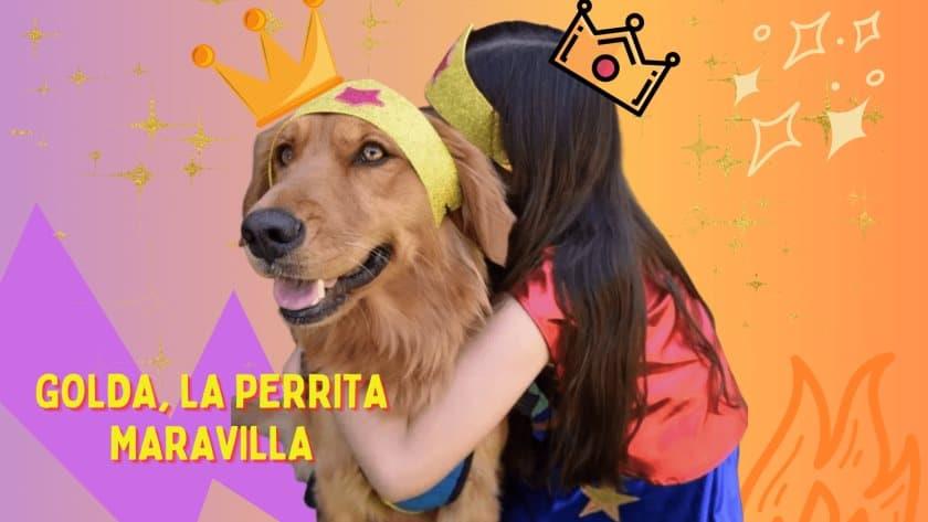 Golda, la perrita que acompaña a niñas y niños víctimas de violencia Golda, la perrita que acompaña a niñas y niños víctimas de violencia