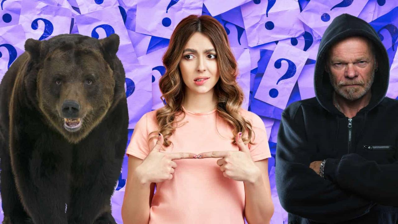 ¿Por qué las mujeres prefieren a un oso antes que a un hombre?