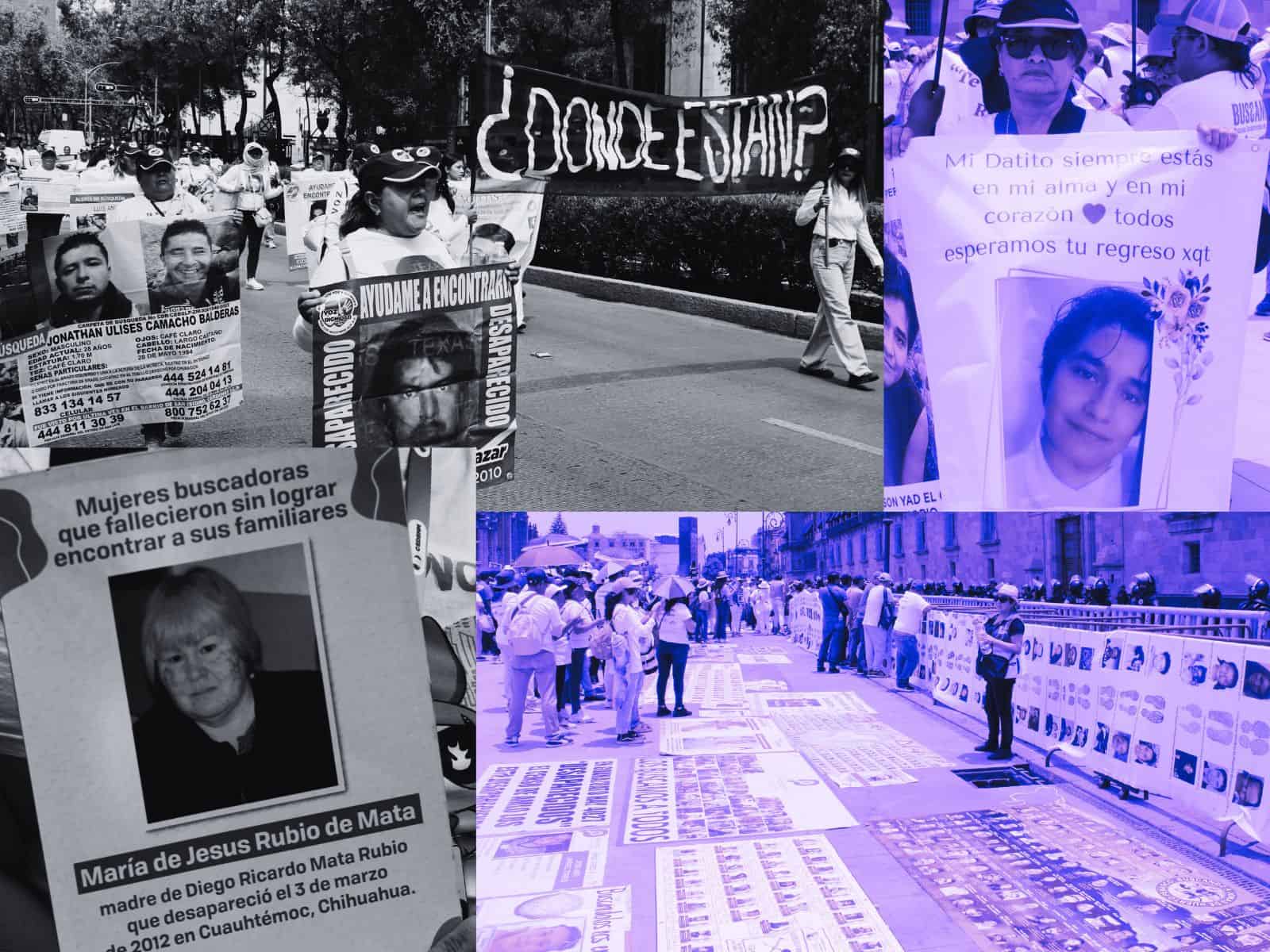 Foto: Sharon Mercado Foto: Sharon Mercado