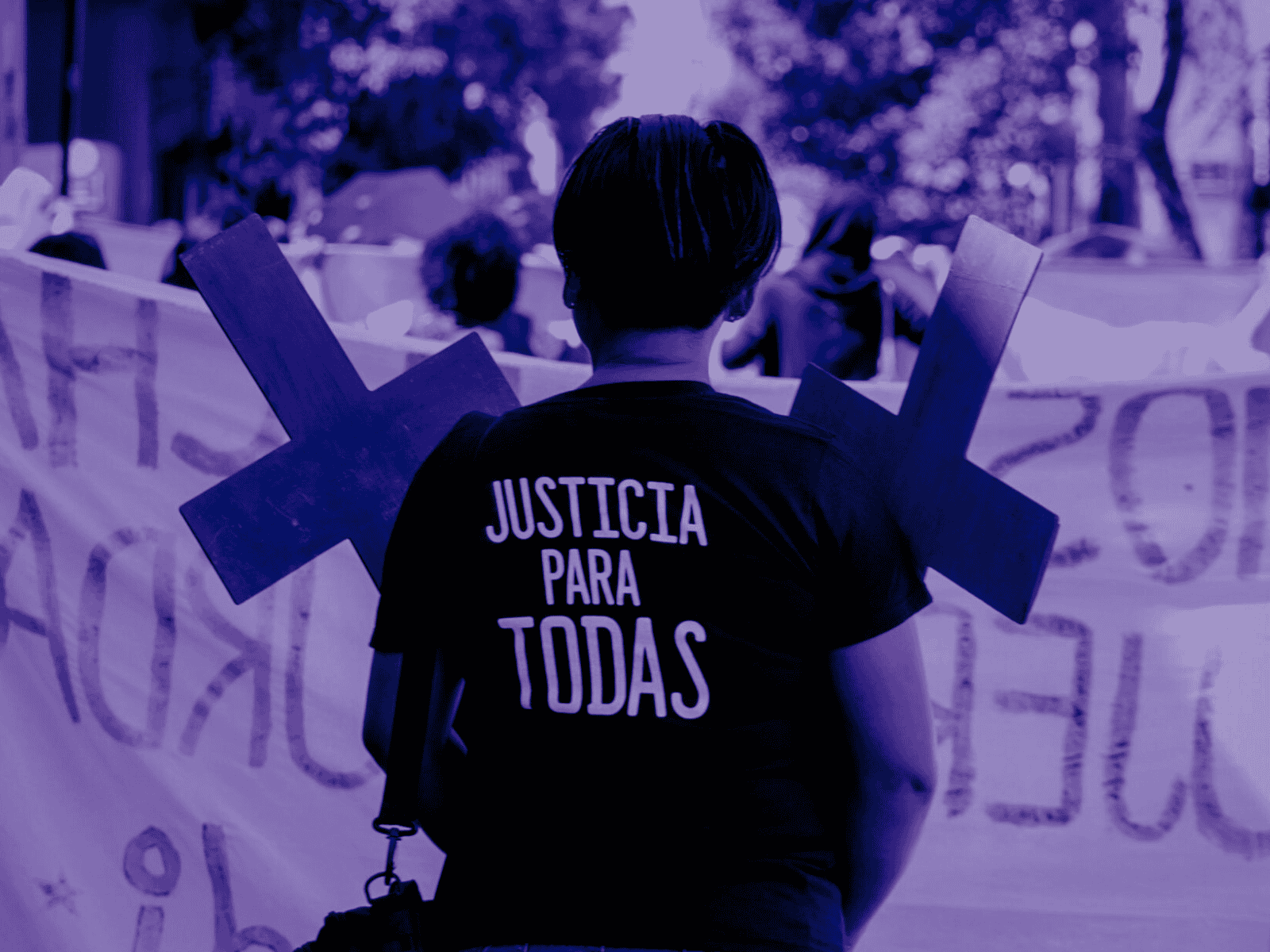 Insuficientes, propuestas para combatir violencia vs las mujeres: Parte II Insuficientes, propuestas para combatir violencia vs las mujeres: Parte II