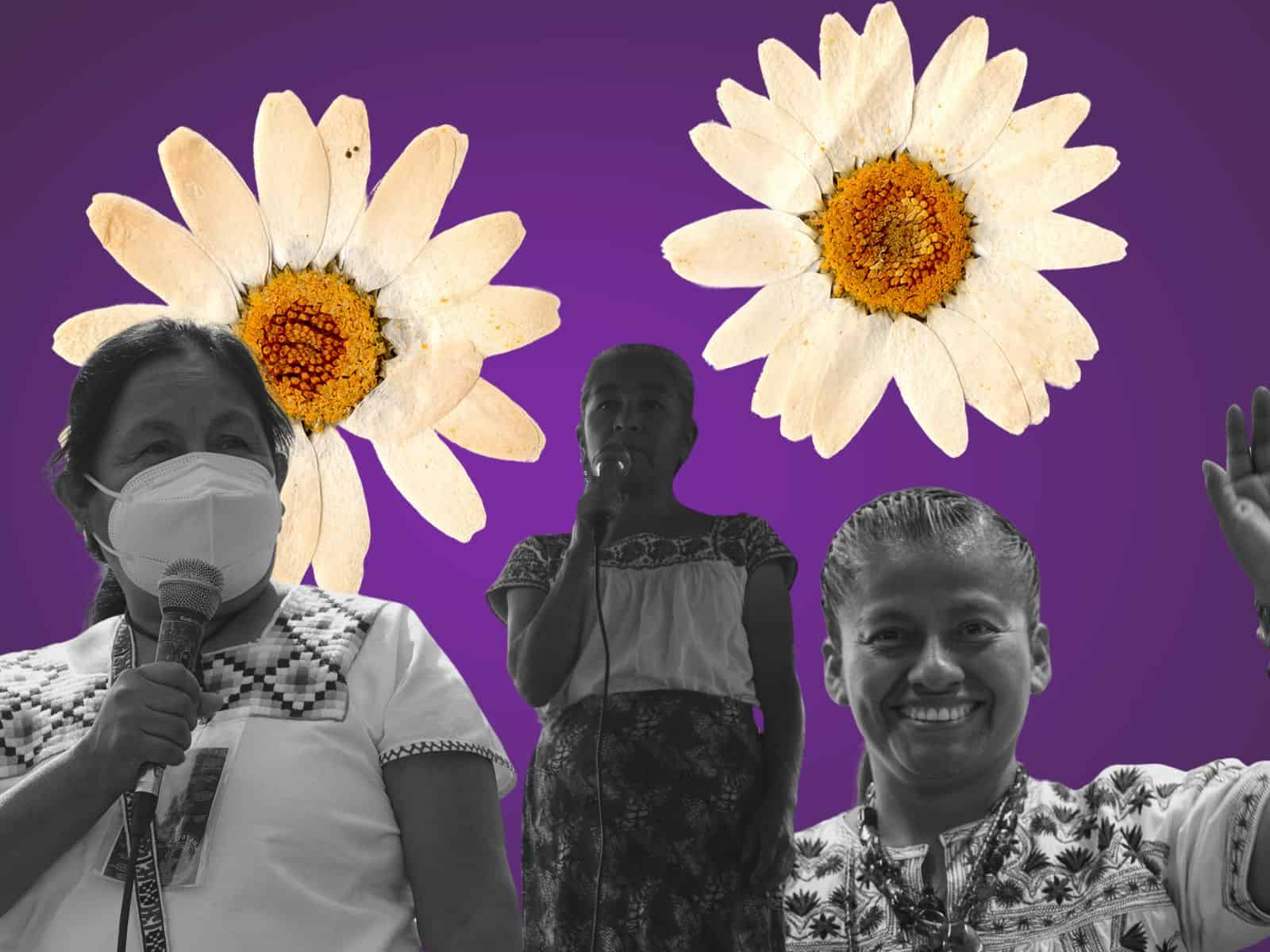 Ellas son las mujeres indígenas en puestos de representación política Ellas son las mujeres indígenas en puestos de representación política