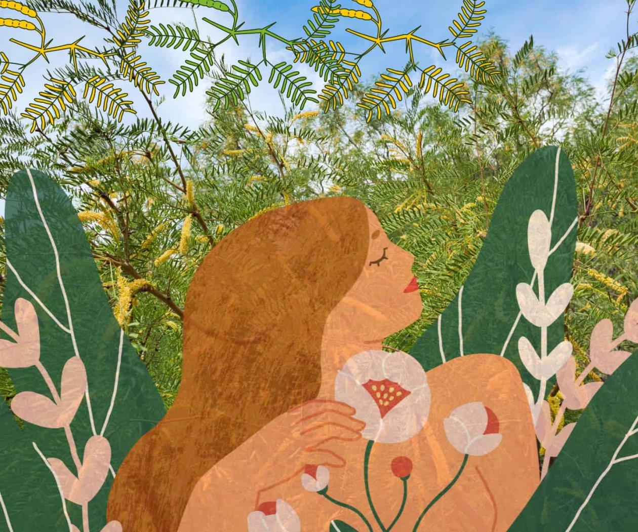 Las políticas de vida y de cuidado de los mezquites Las políticas de vida y de cuidado de los mezquites